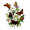 thumbnail image 2 of CafePress - BUTTERFLIES &Amp; PURPLE THISTLE Long Sleeve Infan - Long Sleeve Infant T-Shirt, 2 of 2