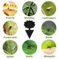 thumbnail image 4 of 20 Piezas Trampas Pegajosas Doble Cara Trampa para Planta (), 4 of 6