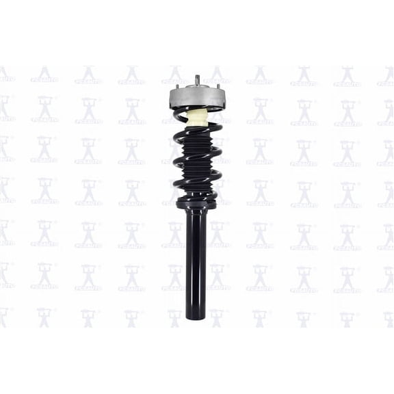 Suspension Strut and Coil Spring Assembly