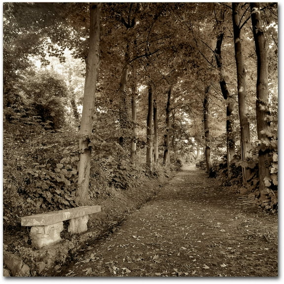 Trademark Fine Art "Fiesole Giardini II" Canvas Art by Alan Blaustein