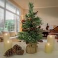 thumbnail image 4 of National Tree Company 2 ft. Pre-Lit Artificial Christmas Tabletop Tree, Green, Glistening Pine, Pine Cones, Twigs, Red Berries, Burlap Base, 15 Warm White Battery Operated LED Lights, Timer, 4 of 4