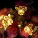 thumbnail image 1 of Luces de cadena LED pequeñas alimentadas por USB Honeybee, impermeables, de color blanco cálido con control remoto para uso en interiores y exteriores, fiestas navideñas, estantes para plantas de jard, 1 of 4