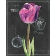 thumbnail image 2 of Parker, Jennifer Paxton 15x18 White Modern Wood Framed Museum Art Print Titled - Chalkboard Flower IV, 2 of 4