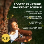 Betterbrand Mullein Drops for Lung Detox - Mullein Leaf Tincture with Chlorophyll - Helps support respiratory health, Alcohol-Free, 1 month supply - 60ml