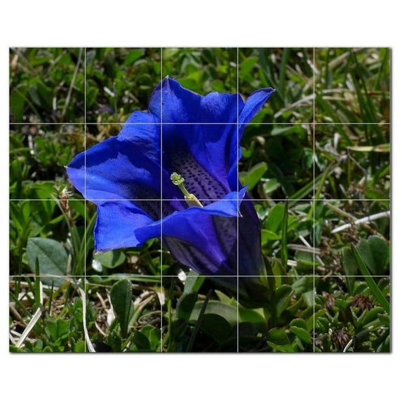 Flowers Ceramic Tile Mural Kitchen Backsplash Bathroom Shower, 402489-L54