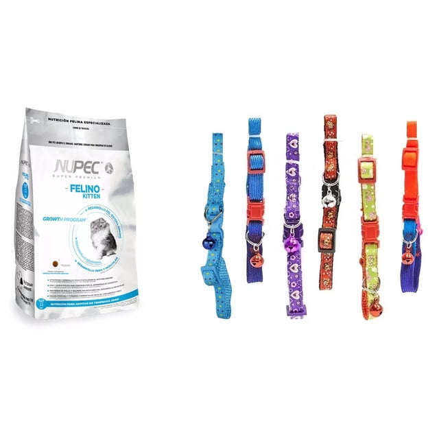 Paquete Nupec kitten 3 kg + 1 collar ajustable con cascabel Fancy pets
