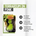 thumbnail image 4 of Live Venus Flytrap Kit with Carnivorous Plant Food & Tweezers in 4.5” Pink Terrarium – Indoor Bug-Eating Plant Gift for Kids & Adults Fly Trap, 4 of 7