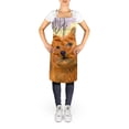 thumbnail image 2 of Carolines Treasures SS1012APRON Norwich Terrier Tablier - 27 H x 31 L Po., 2 of 4