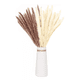 thumbnail image 1 of Pampas Secas 30pcs Plantas Decorativas Flores Artificiales 15Blanco+15Rojo 30Pcs, 1 of 5