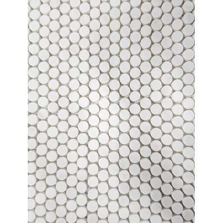 SB Tile and Stone Bianco Dolomite Round Matte Mosaic Tile Box (~5 sqft)