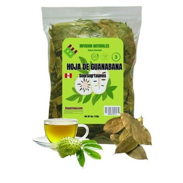 Soursop Leaves Tea Bags - 100% Natural Graviola Herbal Tea For Digestion, Sleep & Immunity (50 Count)