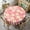 Daisy-2, variant on Pink Daisy Tablecloth, Rustic Country Farmhouse Cartoon Floral Daisy Flower Party Table Cover for Kitchen Dining Room Table Decor 60x60nch
