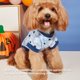 thumbnail image 3 of Camisa de cosplay ANGGREK con calavera de perro estampado de araña para perros, 3 of 8