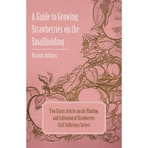 A Guide to Growing Strawberries on the Smallholding - Two Classic Articles on the Planting and Cultivation of Strawberri, (Paperback)