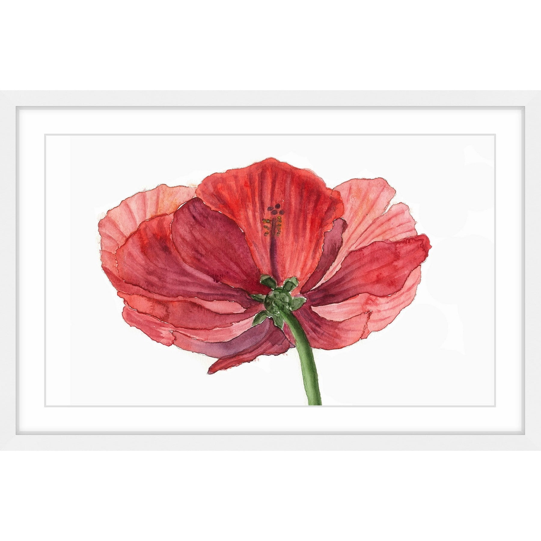 "Hibiscus Flower" Framed Painting Print