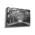 thumbnail image 2 of Epic Graffiti 'Wormsloe Inf Light' by Mike Jones, Giclee Canvas Wall Art, 18"x12", 2 of 8