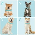 thumbnail image 2 of Jumpress Leather Dog Collar for Small Dogs, Heavy Duty Soft Padded Small Dog Collar (Teal, XS), 2 of 8
