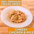 FreezeDried Cheesy Chicken and Rice Emergency Survival Bulk Food