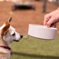 thumbnail image 2 of Cuencos y platos para mascotas Loving Pets Dolce Bamboo Ecológico, 2 of 4