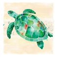 thumbnail image 2 of Sea Turtle Poster Print by Sara Berrenson, 2 of 2