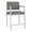 Asteroid, variant on Lesro Lenox Steel Fabric Hip Waiting Room Guest Chair in Silver/Open House Black