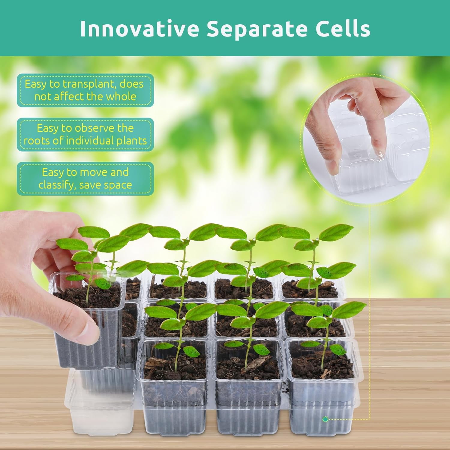 Seed Starter Tray Kit with Humidity Dome and Base, Reusable for Plants Indoor-Clear