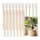 thumbnail image 2 of 18 Piezas de Estacas de Plantas de Electrocultivo, Estacas de Jardín, Antena de Jardinería de Cobre de Electrocultivo para Soporte de Plantas de Jardín de 12 Pulgadas, 2 of 7