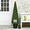 B, variant on Easter Indoor Topiary Decor, Simulated Boxwood Potted , Artificial Spring Topiary for Porch and Home Entry
