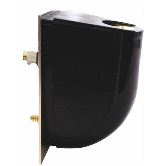 Twinpoint PSM1 0.38 x 24 in. Filetage Moulé Support d'Antenne de Corps Latéral