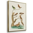 thumbnail image 2 of Antique Birds in Nature I - Framed Premium Gallery Wrapped Canvas L Frame 3 Piece Set - Ready to Hang, 2 of 4
