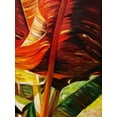 thumbnail image 2 of Wilkins, Suzanne 12x14 White Modern Wood Framed Museum Art Print Titled - Banana Duo II, 2 of 4