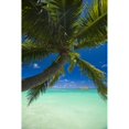 thumbnail image 2 of USA  Hawaii  Oahu  Palm tree over Pacific ocean with Mokulua island in background; Lanikai Poster Print, 2 of 2