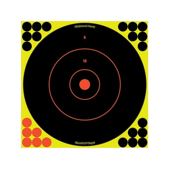 Birchwood Casey Shoot-N-C Adhesive Paper Bullseye Target 12" 12PK