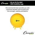 thumbnail image 4 of Champion Sports 65CM FIT PRO Ball with Stability Legs, 4 of 5