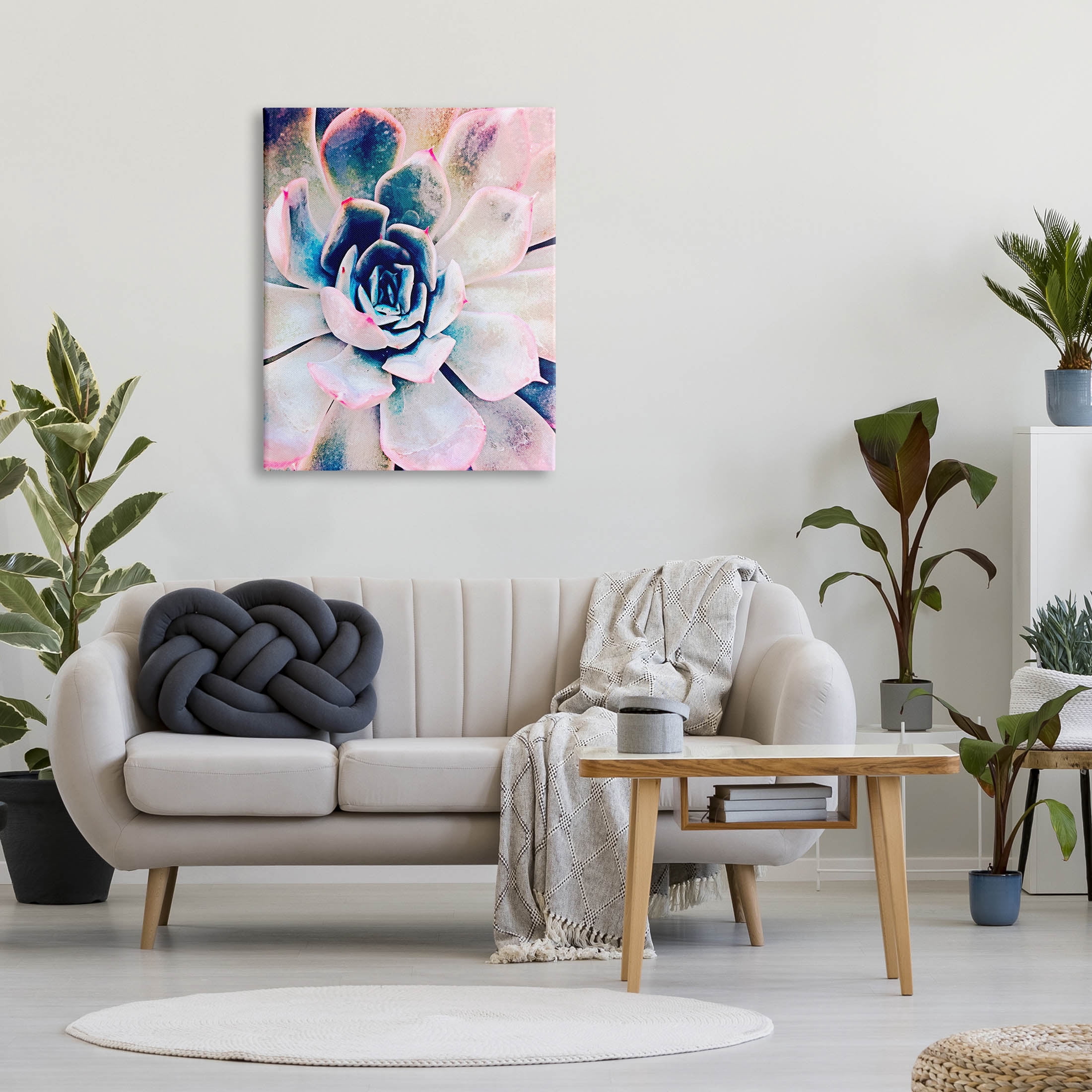 Modern Succulent Plant View Botanical & Floral Photograph Gallery Wrapped Canvas Print Wall Art