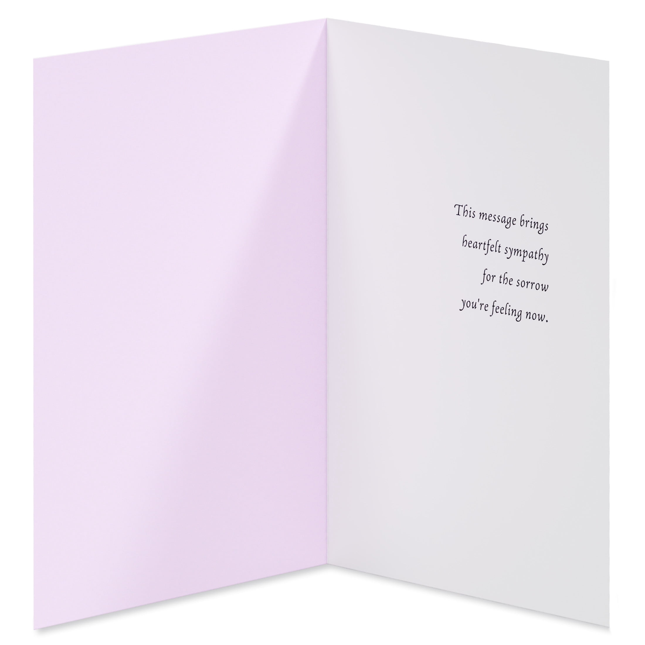 American Greetings Sympathy Card (With Sympathy)
