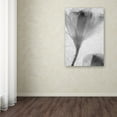 thumbnail image 4 of Trademark Fine Art "Flowers on Ice-13" Canvas Art by Moises Levy, 4 of 4
