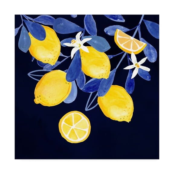 Trademark Fine Art 'Fresh Fruit V' Canvas Art by Victoria Borges