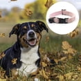 thumbnail image 3 of Dinheiro Collar para Perro con Lazo, 7 Colores sólidos clásicos, Collar para Mascotas Ajustable de algodón Suave para Perros de tamaño pequeño a mediano, 3 of 5