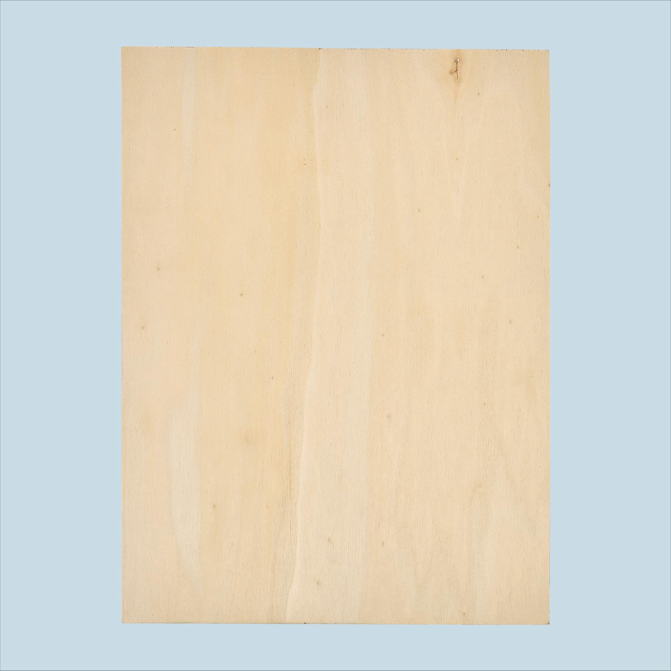 Hello Hobby Wood Rectangle Plaque, 9" x 12"