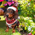 thumbnail image 5 of 1Pc Sausage Dog Christmas Yard Signs 11.8 Inch Farmhouse Christmas Yard Stakes Outdoor Decorative Large Sausage Dog Xmas Decorations Signs for Farm Garden, 5 of 6
