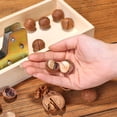 thumbnail image 4 of QualitChoice Nut Opener Walnut Shell Opening Cracking Tool Peeling Machine Cracker, 4 of 6