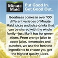 thumbnail image 6 of Minute Maid Lemonade, 20 fl oz Bottle, 6 of 14