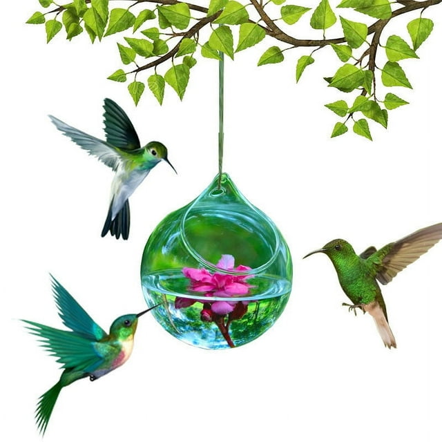 ¡Promoción Especial!, Comedero de vidrio para colibríes Comedero de vidrio soplado a mano para colibríes Akmoler