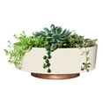 thumbnail image 2 of The HC Companies Pot de Plante Succulente d'Intérieur de 8 Pouces en Forme de Bol Capri, Vanille Bisque, 2 of 4