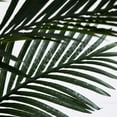 thumbnail image 6 of Nearly Natural Potted Golden Cane Palm Artificial Tree with Cotton Planter - 8' - Green, 6 of 7