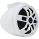 thumbnail image 4 of Bocinas de Torre Marinas Wet Sounds AXIS-ICON 8-W 300W 8PLG, 4 of 9