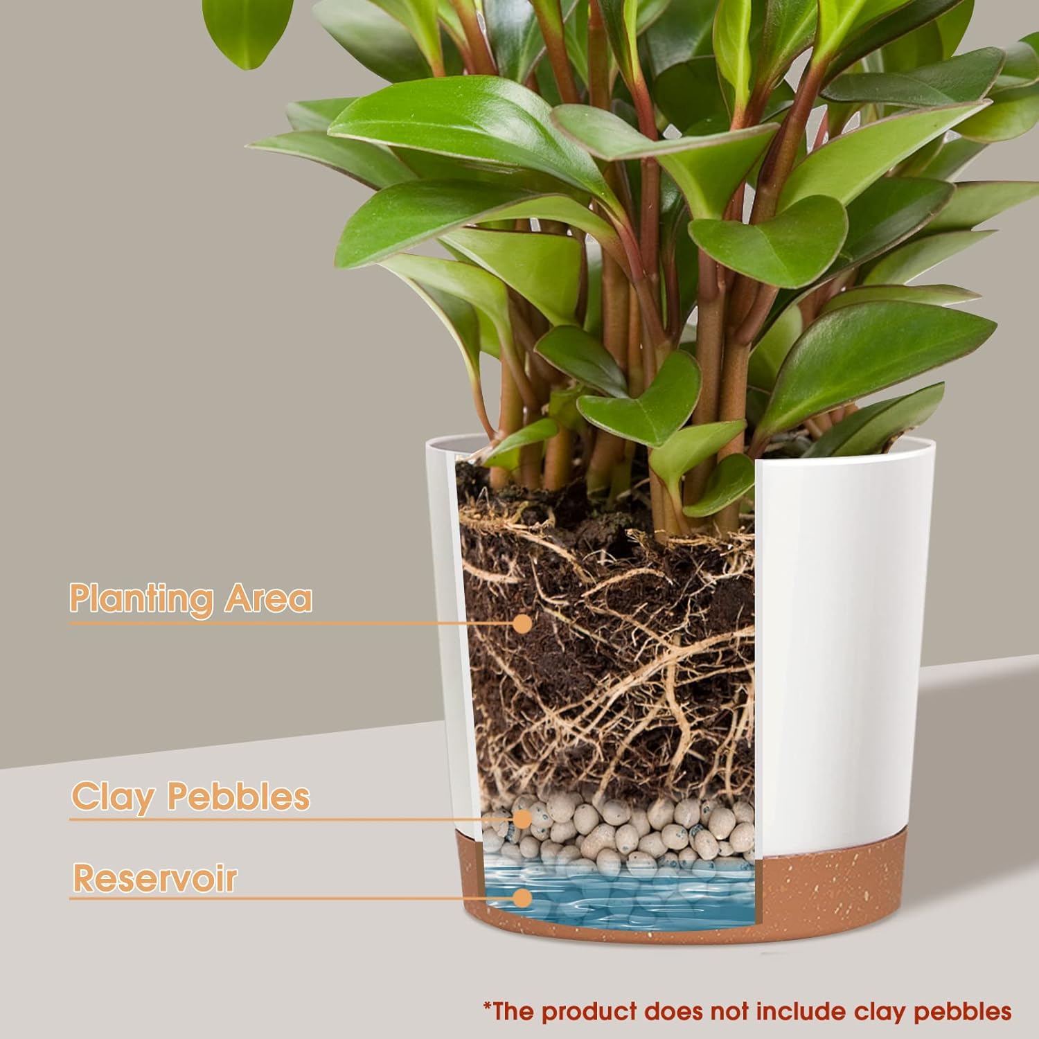 8 Inch  Planters for Indoor Plants, Plastic Flower Pots Plant Pots Indoor with Drainage Saucer for Garden Home Plant, White 8”