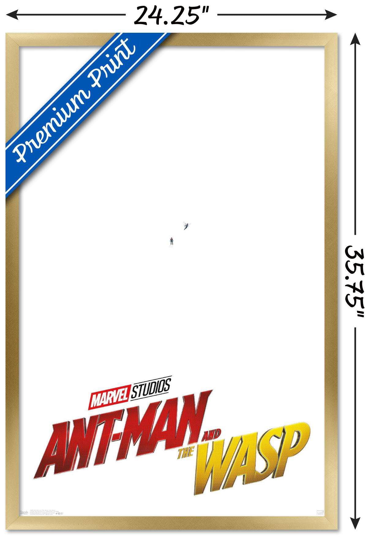 Marvel Cinematic Universe - Ant-Man and the Wasp - One Sheet Wall Poster, 22.375" x 34", Framed