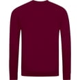 thumbnail image 2 of AWDis Academy Mens Crew Neck Raglan Sweatshirt, 2 of 2